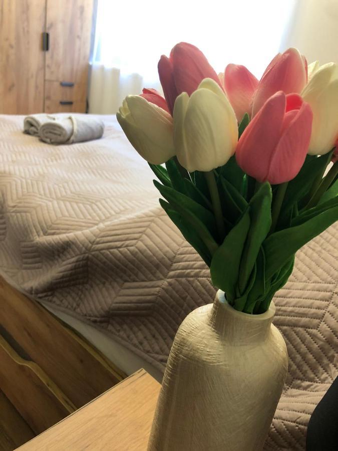 Tulipan Apartman Makó Buitenkant foto